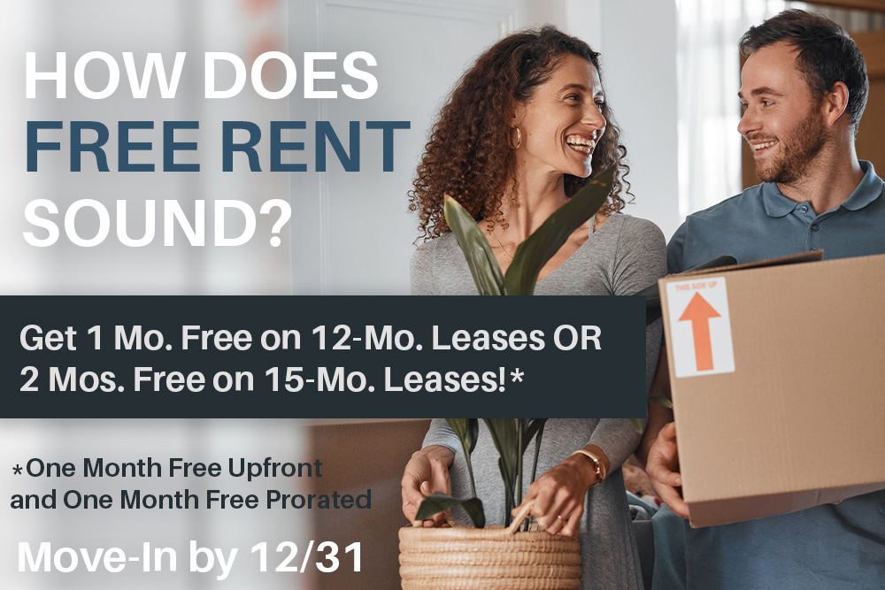 November 2025 Special